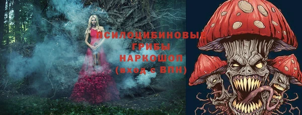 Альфа ПВП Баксан