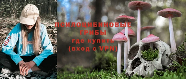 хмурый Балабаново