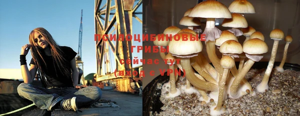 хмурый Балабаново