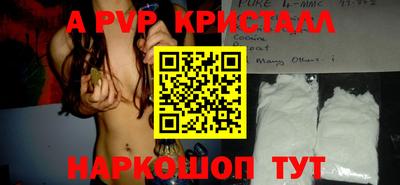 эйфоретик Кингисепп