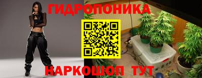 эйфоретик Кингисепп
