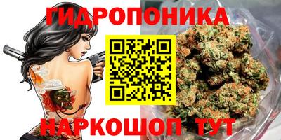 эйфоретик Кингисепп
