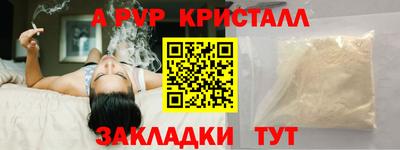 эйфоретик Кингисепп