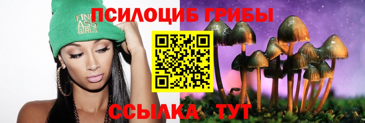 Псилоцибиновые грибы мицелий Гатчина